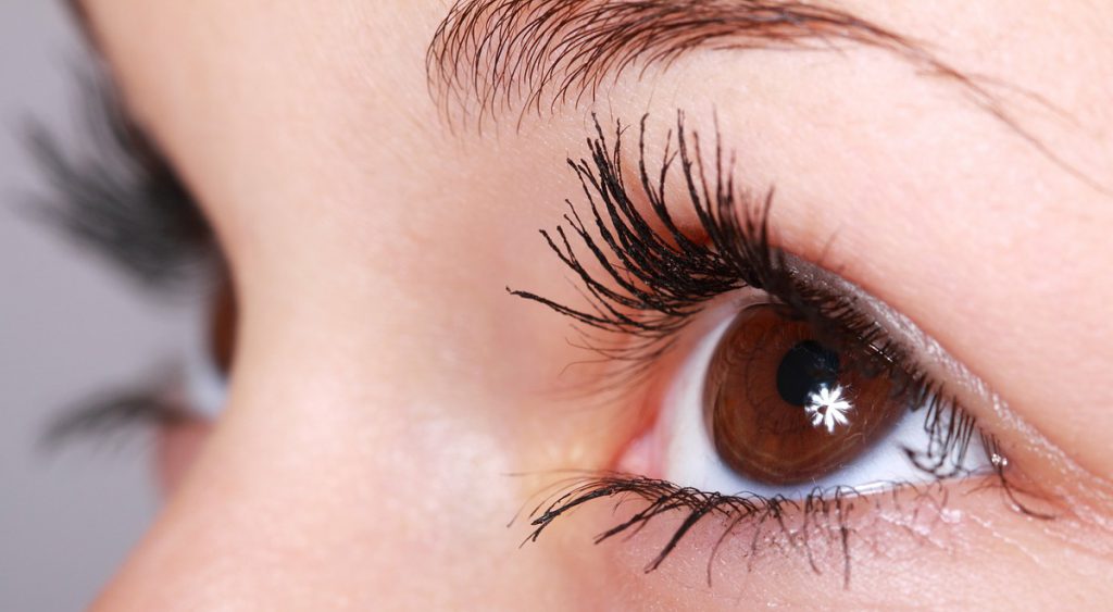 Σαμπουάν και Conditioner: Όλα όσα Πρέπει να Ξέρετε